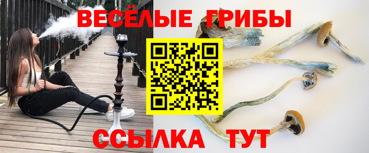 купить наркоту  Вход с VPN  Междуреченск  Галлюциногенные грибы Cubensis 