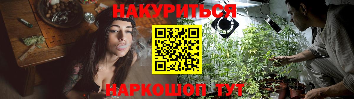 Конопля конопля Междуреченск